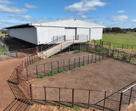 Rural / Farming commercial property sold at Smeatonvale/2452 Cobb Highway Deniliquin NSW 2710