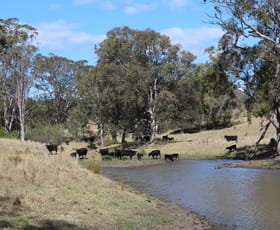 Rural / Farming commercial property sold at 128 Homan Road Killarney QLD 4373