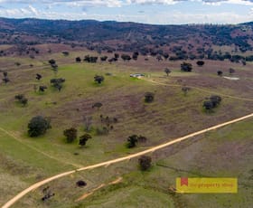 Rural / Farming commercial property sold at 829 Kaludabah Road Mudgee NSW 2850