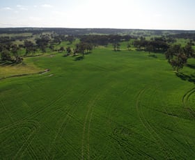 Rural / Farming commercial property sold at 970 Talbot Road Talbot WA 6302