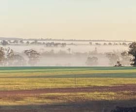 Rural / Farming commercial property sold at 736 Flat Rocks Road Broomehill West WA 6318