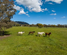 Rural / Farming commercial property for sale at 213 Saggers Lane Longwood VIC 3665