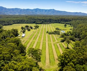 Rural / Farming commercial property for sale at 606 Valery Road Valery NSW 2454