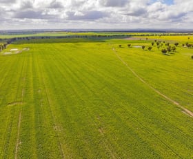 Rural / Farming commercial property for sale at Lonsdale Lane Coolamon NSW 2701