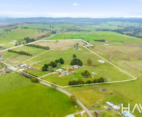 Rural / Farming commercial property for sale at 35 Back Creek Road Pipers River TAS 7252