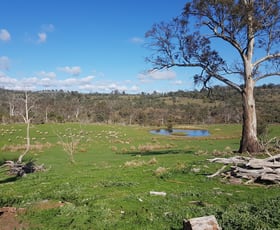 Rural / Farming commercial property for sale at 900 Swanston Road Swanston TAS 7120