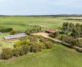 Rural / Farming commercial property for sale at 499 Meredith-Mt Mercer Road Meredith VIC 3333