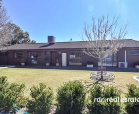 Rural / Farming commercial property sold at 52 Osterley Tce Inverell NSW 2360