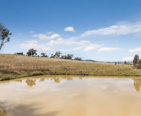 Rural / Farming commercial property for sale at 1045 Dairy Flat Road Tooborac VIC 3522