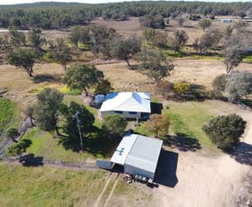 Rural / Farming commercial property for sale at 11608 Gwydir Highway Delungra NSW 2403
