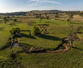 Rural / Farming commercial property for sale at Spring Valley Road Mountain Creek NSW 2644