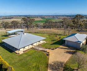 Rural / Farming commercial property for sale at 2863 Hobbys Yards Road Blayney NSW 2799