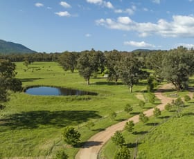 Rural / Farming commercial property for sale at 257 Blue Range Road Bridge Creek VIC 3723