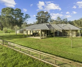 Rural / Farming commercial property for sale at 257 Blue Range Road Bridge Creek VIC 3723