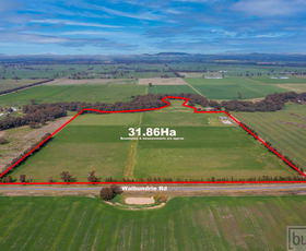 Rural / Farming commercial property sold at 679 Walbundrie Road Culcairn NSW 2660