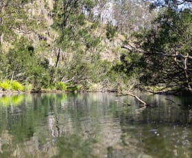 Rural / Farming commercial property for sale at Lot 201 Paddys Flat Road Tooloom NSW 2475