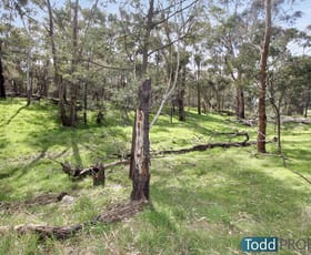 Rural / Farming commercial property for sale at 330 Paddys Dam Road Tooborac VIC 3522