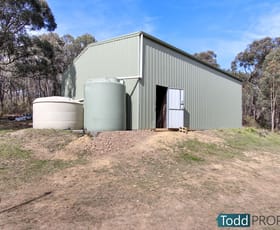 Rural / Farming commercial property sold at 330 Paddys Dam Road Tooborac VIC 3522