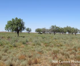 Rural / Farming commercial property for sale at Brewarrina NSW 2839