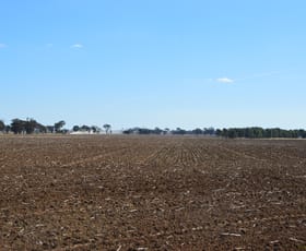 Rural / Farming commercial property for sale at Rockleigh Leonards Road Temora NSW 2666