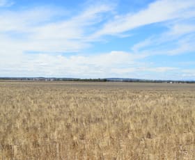 Rural / Farming commercial property for sale at Rockleigh Leonards Road Temora NSW 2666
