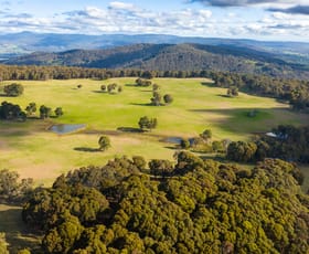 Rural / Farming commercial property sold at Ewarts Road Yackandandah VIC 3749