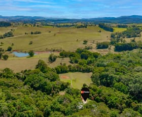 Rural / Farming commercial property sold at 3066 Gillies Range Road Lake Barrine QLD 4884