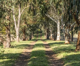 Rural / Farming commercial property sold at 269 Brookleigh Road Strathbogie VIC 3666