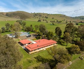 Rural / Farming commercial property sold at 1124 Gobarralong Road Coolac NSW 2727