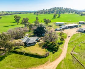 Rural / Farming commercial property for sale at DUNOON – Holbrook Culcairn NSW 2660