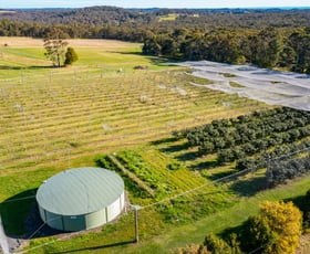 Rural / Farming commercial property for sale at 140 Niclins Road Mangrove Mountain NSW 2250