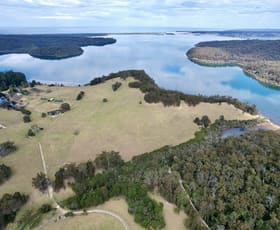 Rural / Farming commercial property sold at 805 Fairhaven Road Mallacoota VIC 3892