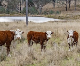 Rural / Farming commercial property sold at 4813 Killarney Gap Road Narrabri NSW 2390