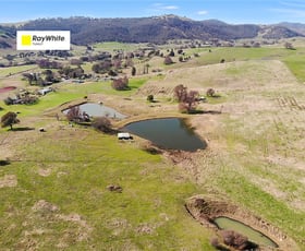 Rural / Farming commercial property sold at 585 Grahamstown Road Adelong NSW 2729