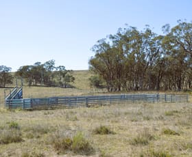 Rural / Farming commercial property sold at 1453 Windeyer Road Mudgee NSW 2850