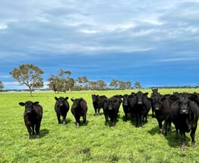 Rural / Farming commercial property sold at Castle Carey Road Kolora VIC 3265