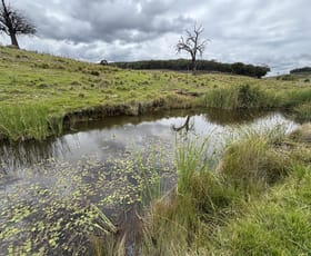 Rural / Farming commercial property for sale at 1016 Ullamalla Road Mudgee NSW 2850