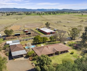 Rural / Farming commercial property for sale at 2799 New England Highway Highway Scone NSW 2337
