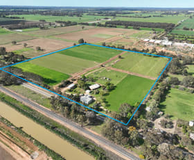 Rural / Farming commercial property for sale at 74 Mywee Road Strathmerton VIC 3641