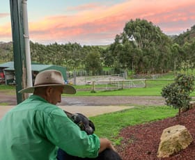 Rural / Farming commercial property sold at 383 Maddens Bridge Road Glenfyne VIC 3266