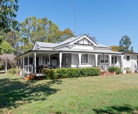 Rural / Farming commercial property for sale at 564 Cobba Da Mana Rd Oman Ama QLD 4352
