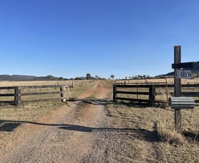 Rural / Farming commercial property sold at "Kurrew" 701 Quia Road Gunnedah NSW 2380