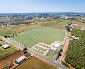 Rural / Farming commercial property sold at 7 Leachs Road Red Cliffs VIC 3496