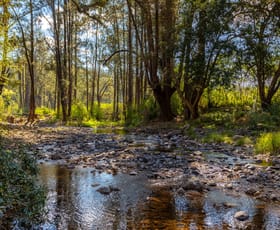 Rural / Farming commercial property sold at 359 Kippax Road Kippaxs NSW 2429