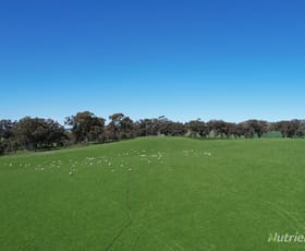 Rural / Farming commercial property sold at "Parke's" Leys Road Lexton VIC 3352