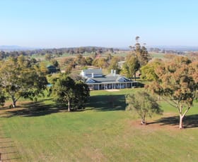 Rural / Farming commercial property for sale at 211 Cliftlands Road Scone NSW 2337