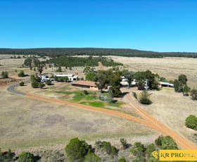 Rural / Farming commercial property for sale at 196 Teatree Gully Road Bullawa Creek NSW 2390