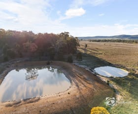 Rural / Farming commercial property for sale at 2549 Digilah Road Dunedoo NSW 2844