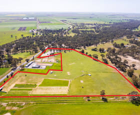 Rural / Farming commercial property for sale at Horsham-Noradjuha Road Lower Norton VIC 3401