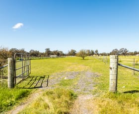 Rural / Farming commercial property for sale at Horsham-Noradjuha Road Lower Norton VIC 3401